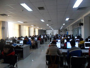 五彩石职业技能培训 赋能未来，点亮职业新篇章